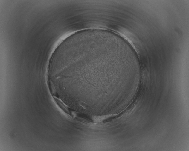 X0000116631379200912241804