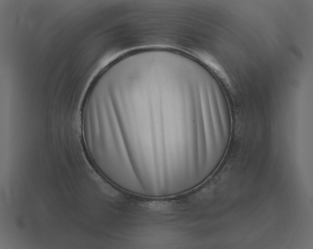 X0000116631380200912241804