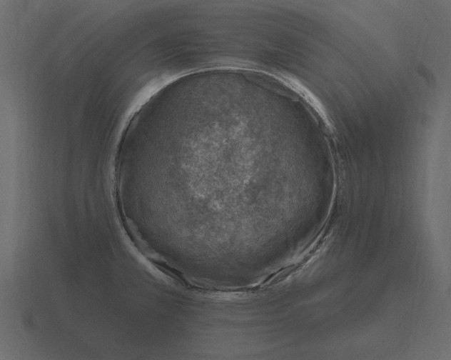 X0000116631381200912241804