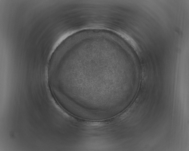 X0000116631382200912241804