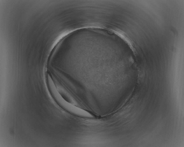 X0000116631383200912241804