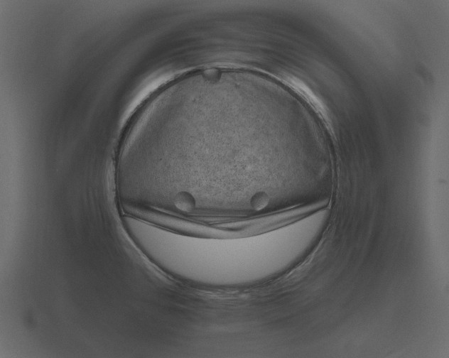 X0000116631384200912241804