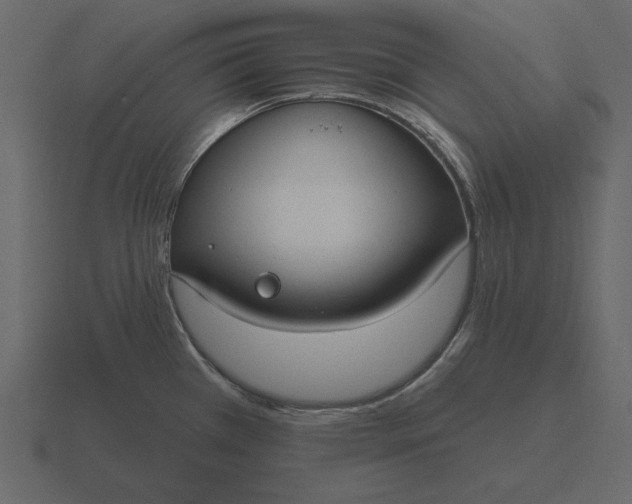 X0000116631385200912241804