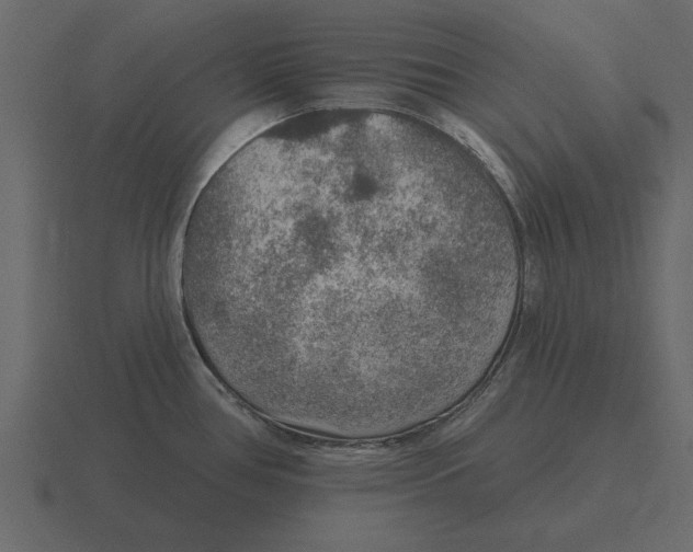 X0000116631386200912241804