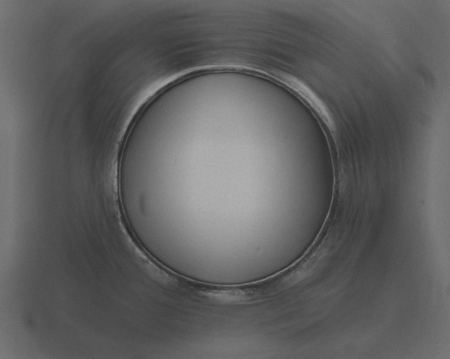 X0000116631388200912241804