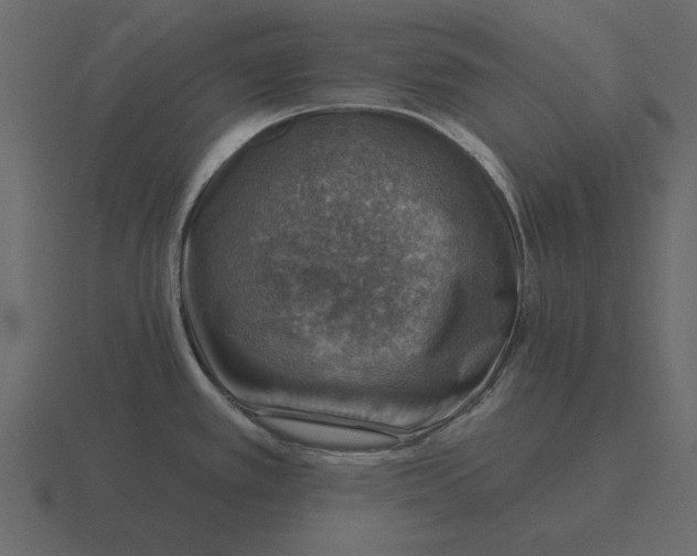 X0000116631389200912241804