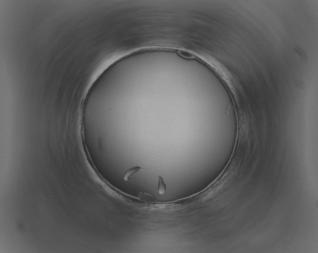 X0000116631390200912241804