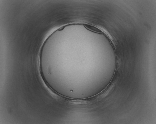 X0000116631391200912241804