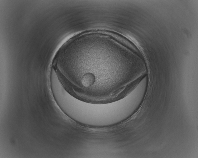 X0000116631392200912241804