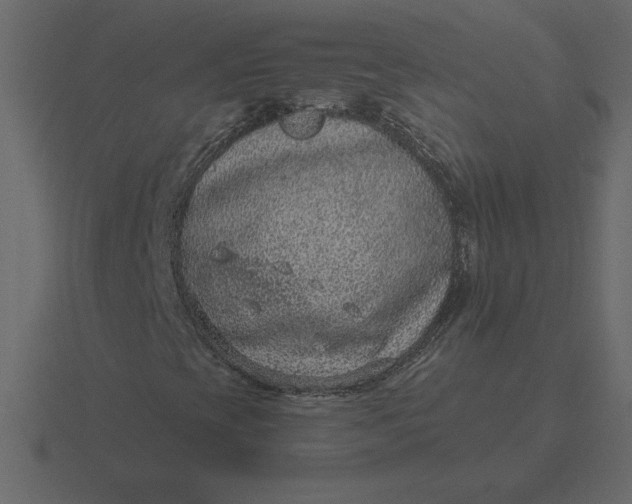 X0000116631393200912241803