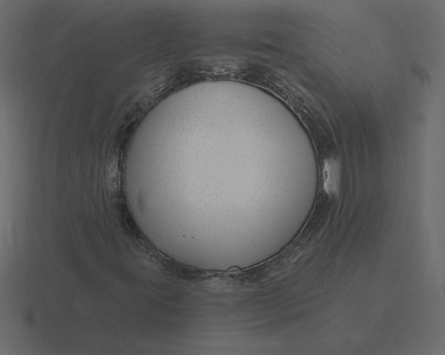 X0000116631395200912241803