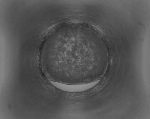 X0000116631397200912241803