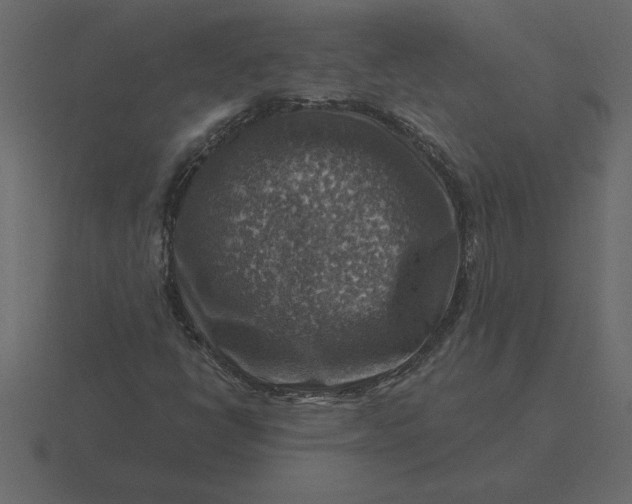 X0000116631398200912241803