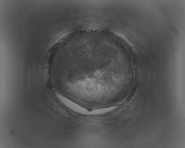 X0000116631399200912241803