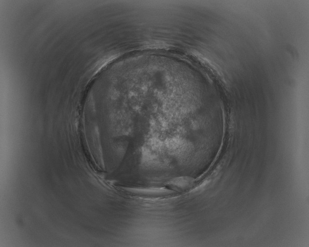 X0000116631401200912241803