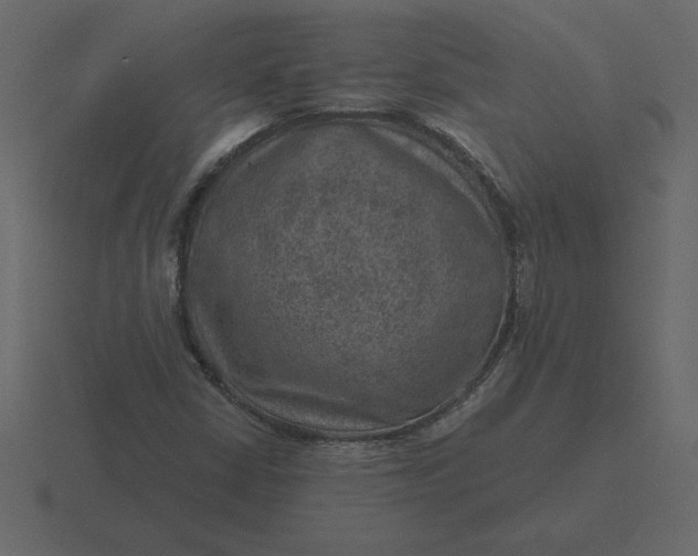 X0000116631402200912241803