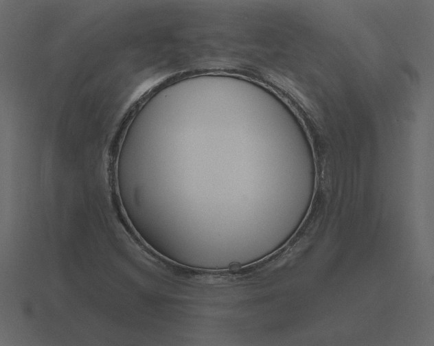 X0000116631404200912241803