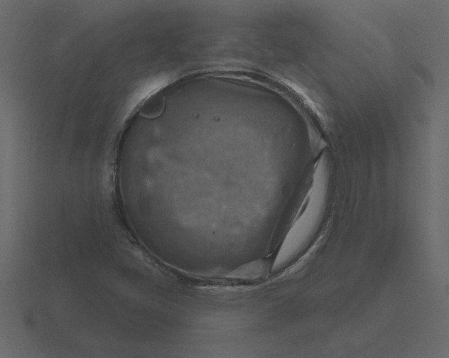 X0000116631405200912241803