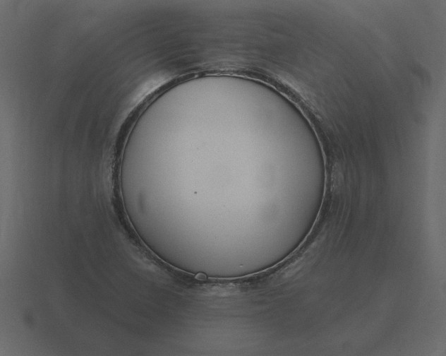 X0000116631410200912241803