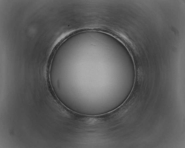 X0000116631412200912241803