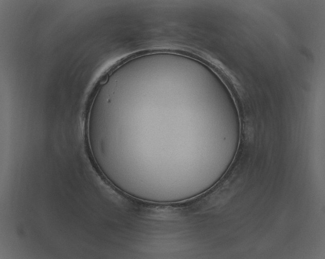 X0000116631416200912241803