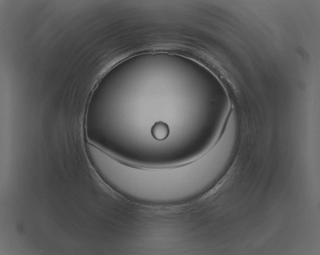 X0000116631417200912241803