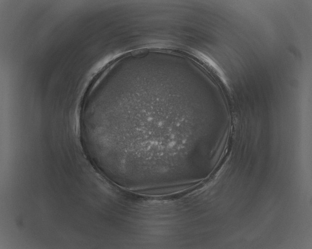 X0000116631419200912241803