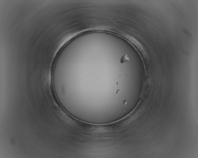 X0000116631420200912241803