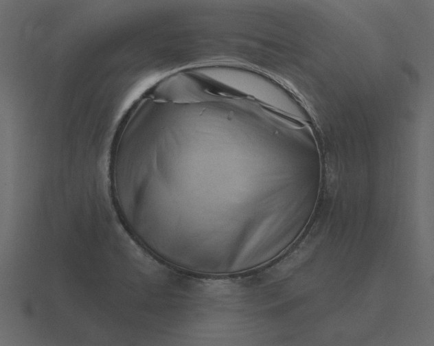 X0000116631422200912241803