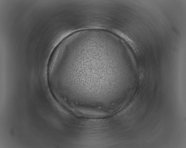 X0000116631423200912241803