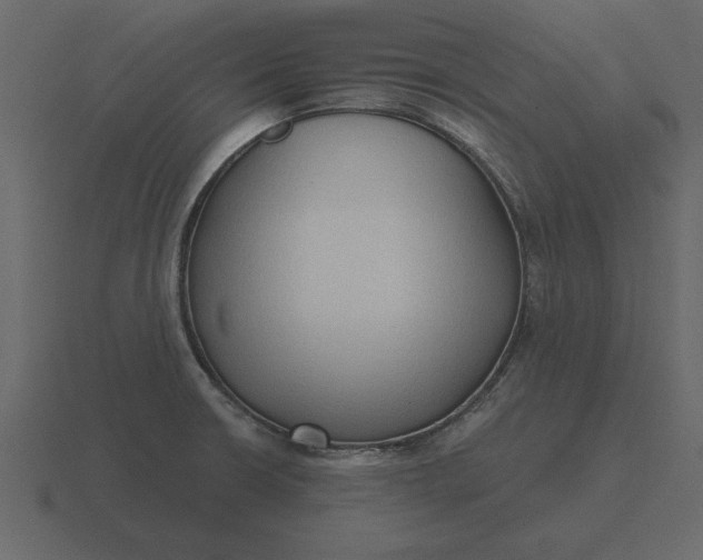 X0000116631426200912241804