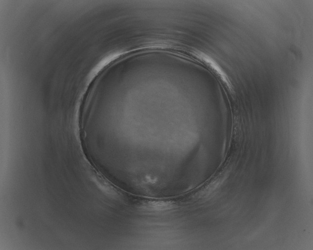 X0000116631427200912241804