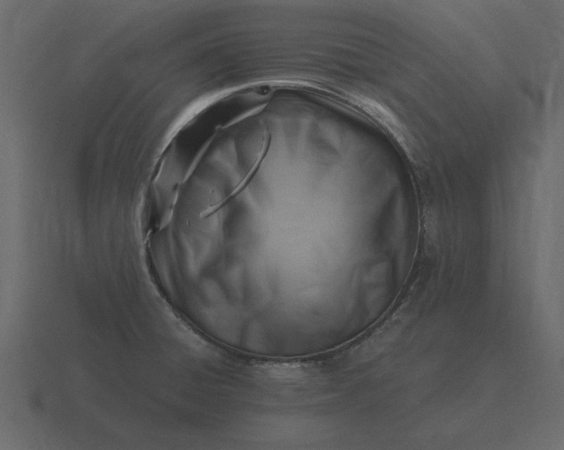 X0000116631428200912241804