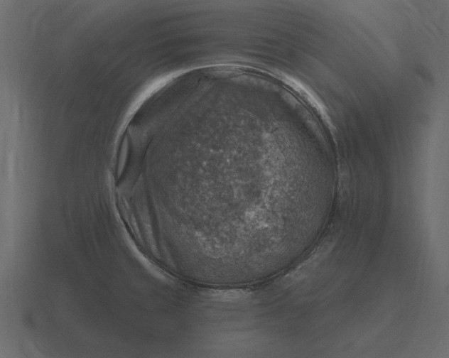 X0000116631429200912241804