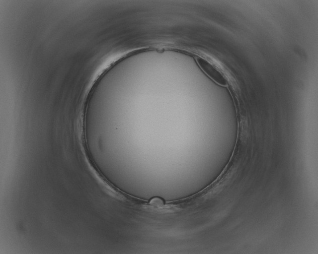 X0000116631432200912241804