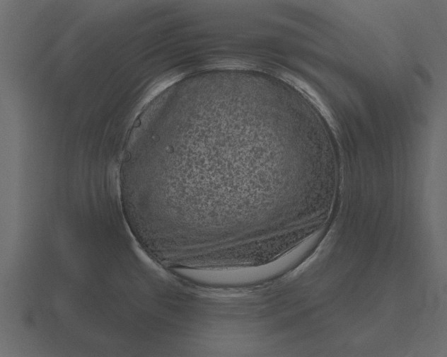 X0000116631433200912241804