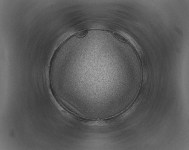 X0000116631434200912241804