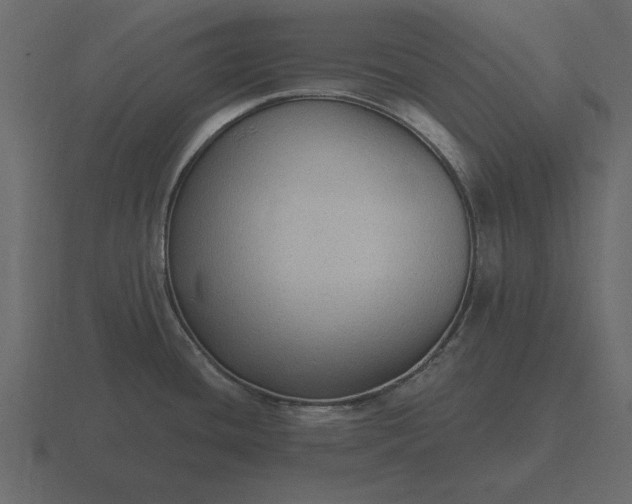 X0000116631436200912241804