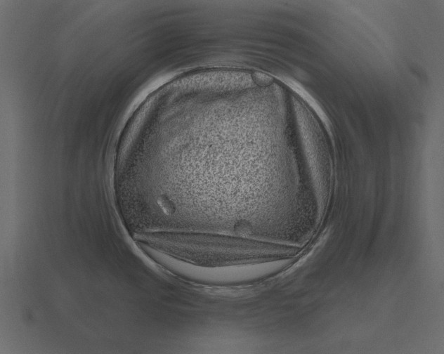 X0000116631437200912241804