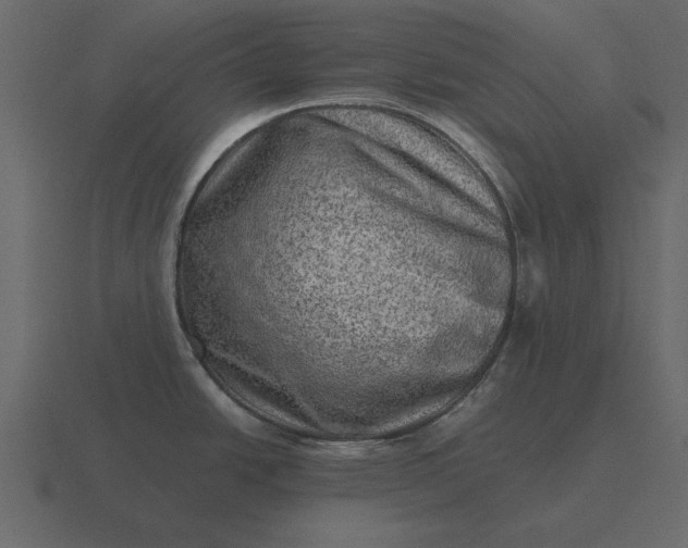 X0000116631438200912241804