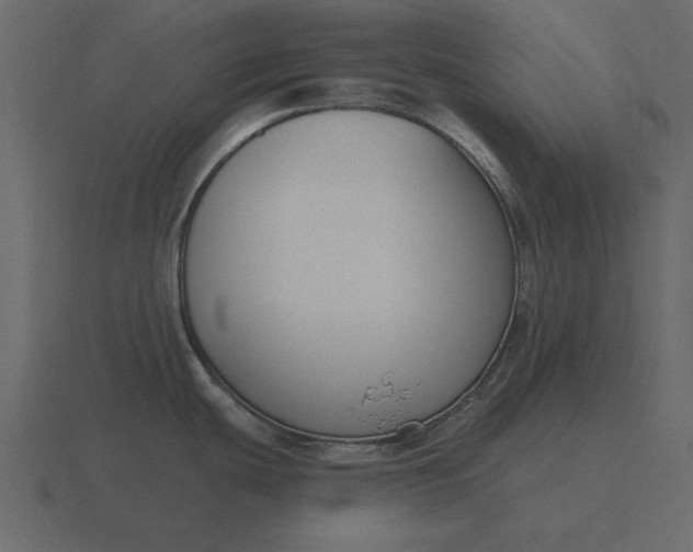 X0000116631439200912241804