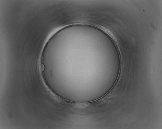 X0000116631440200912241804