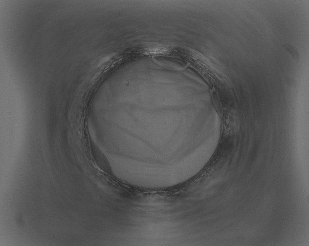 X0000116631441200912241803