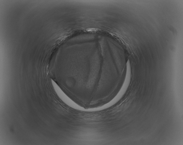 X0000116631443200912241803