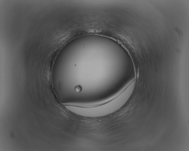 X0000116631444200912241803