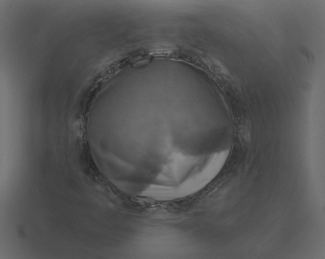 X0000116631445200912241803