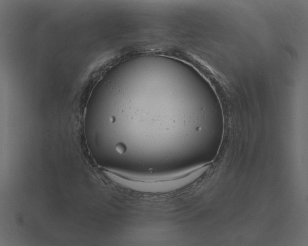 X0000116631447200912241803