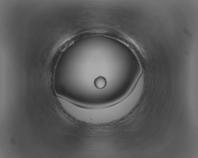 X0000116631448200912241803