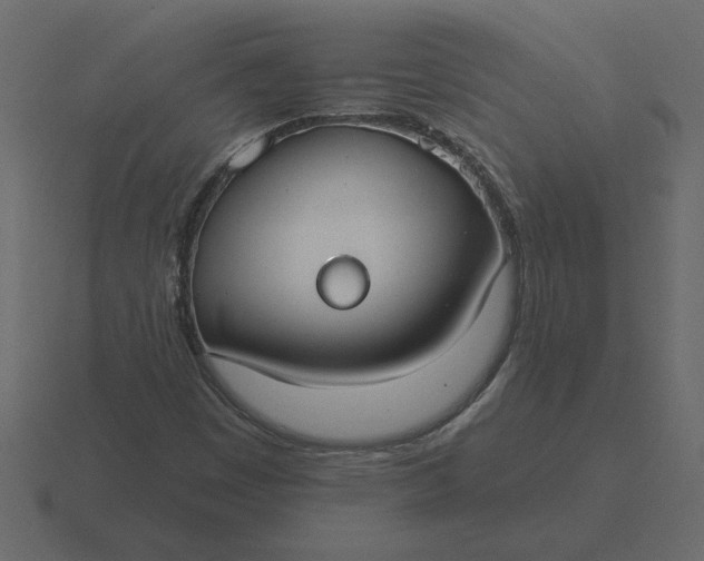 X0000116631449200912241803