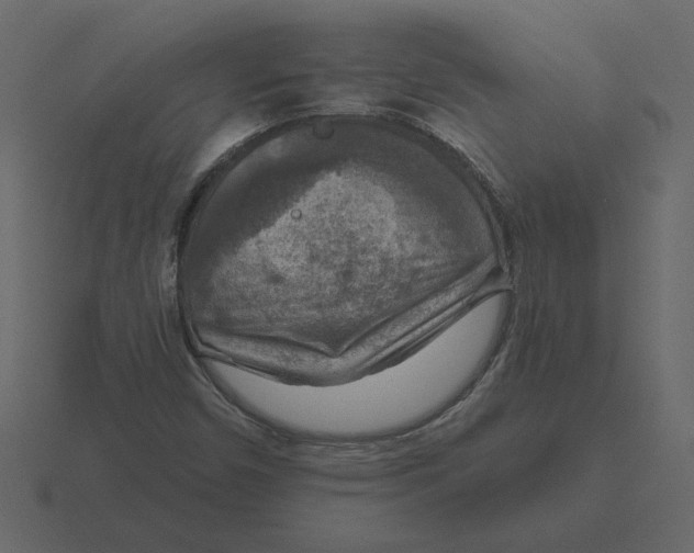 X0000116631450200912241803